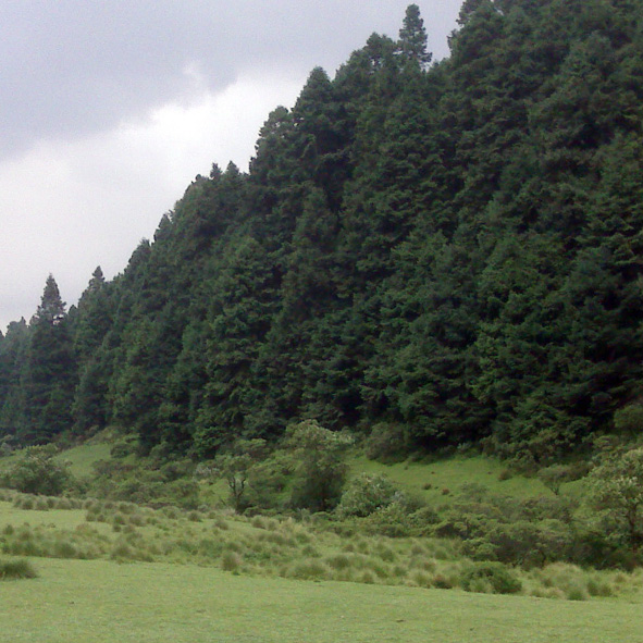 Parque Nacional Miguel Hidalgo y Costilla, La Marquesa